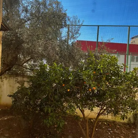 Amion In Center Of Apartment Tirana